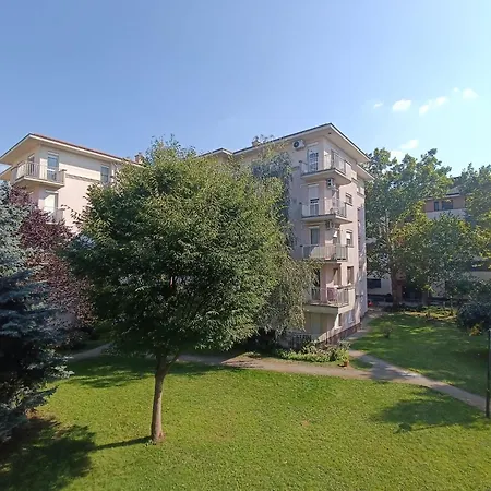 Great Forest Family * Debrecen